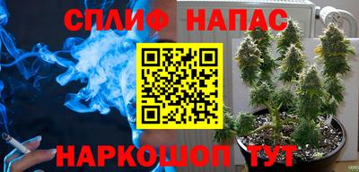 ALPHA PVP Обь